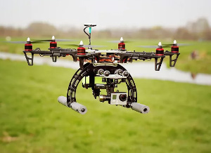 �������Ʒ